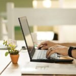online, connection, laptop, plant, workstation, pot, work, nature, table, workspace, technology
